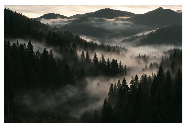 Quadro su tela – Foreste montane nebbiose all’alba