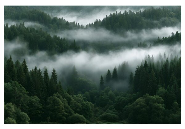 Quadro su tela – Foresta montana nebbiosa all’alba