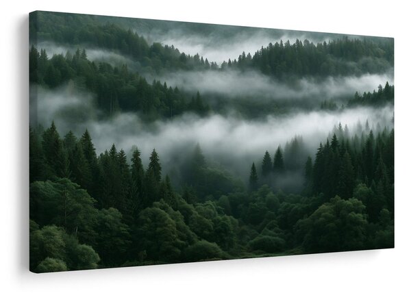 Quadro su tela – Foresta montana nebbiosa all’alba