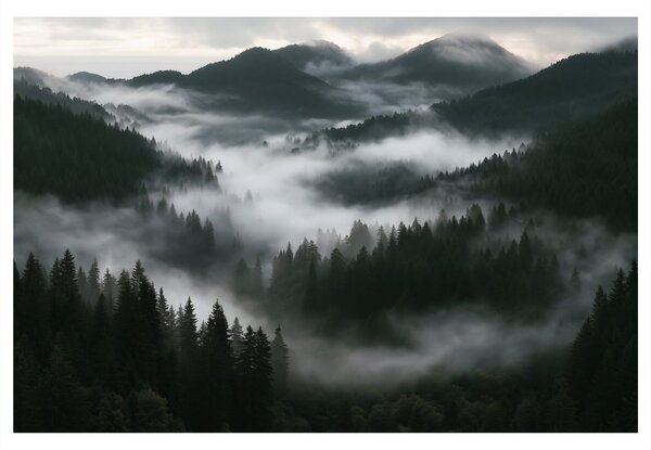 Quadro su tela – Foreste montane nebbiose all’alba