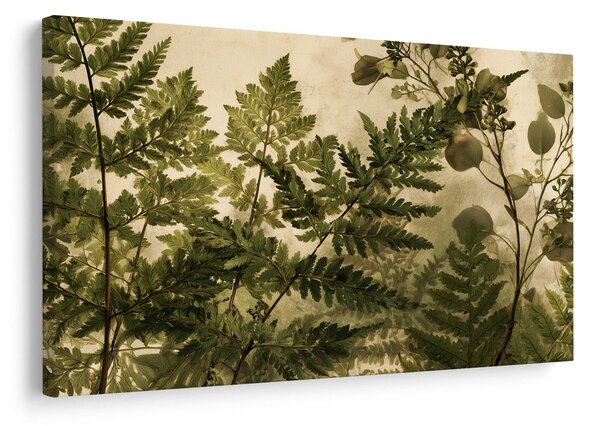 Quadro su tela – Felci delicate su sfondo beige