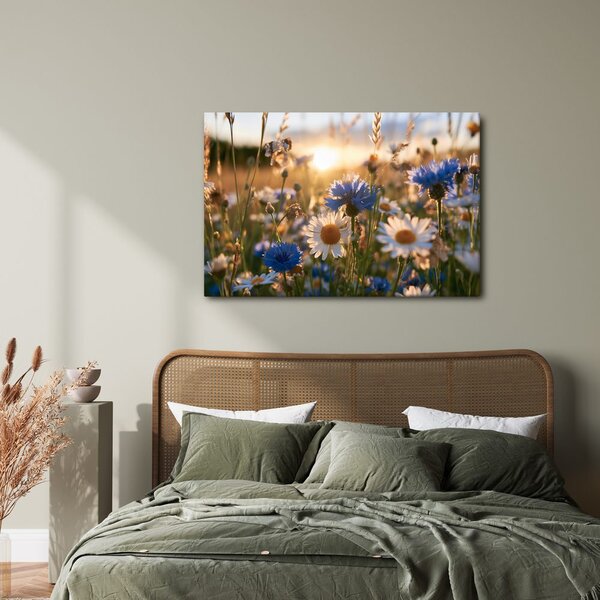Quadro su tela – Fiori di campo al tramonto