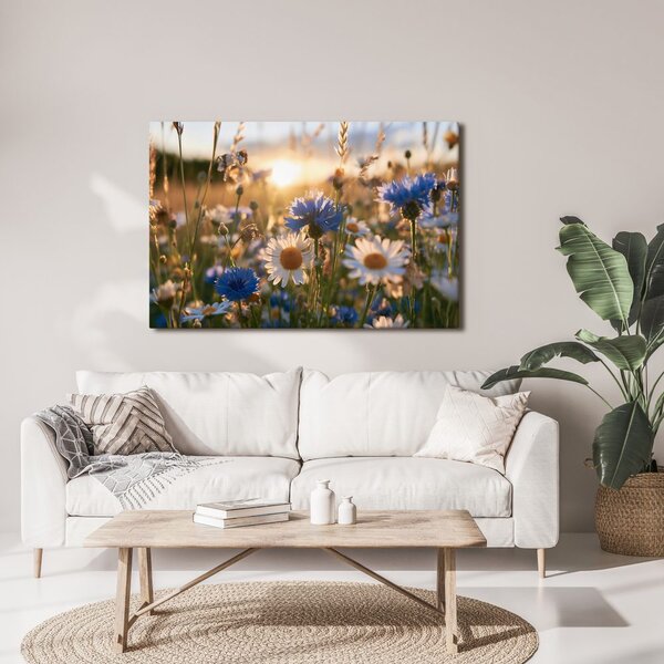 Quadro su tela – Fiori di campo al tramonto