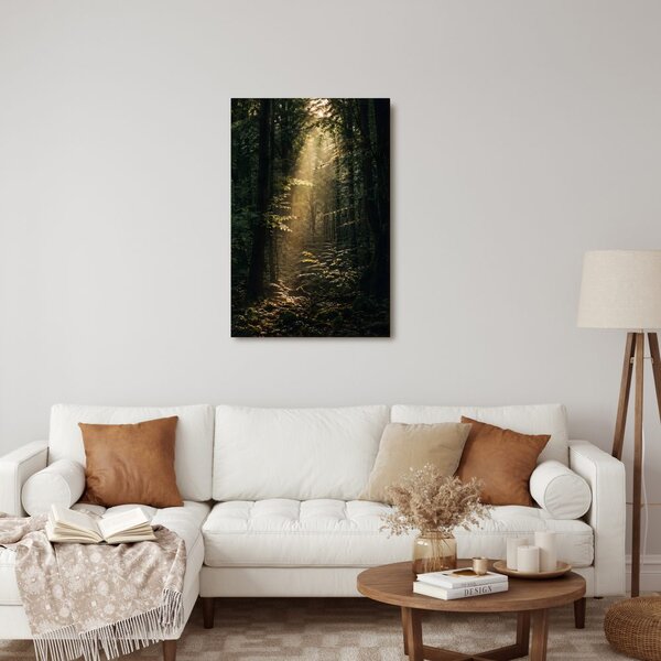 Quadro su tela – Raggi di sole nel bosco profondo