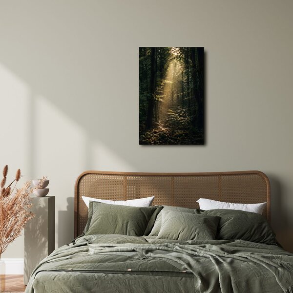 Quadro su tela – Raggi di sole nel bosco profondo