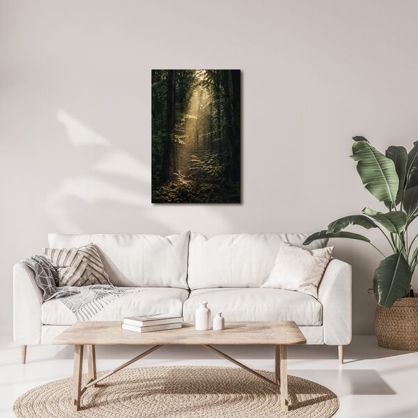 Quadro su tela – Raggi di sole nel bosco profondo