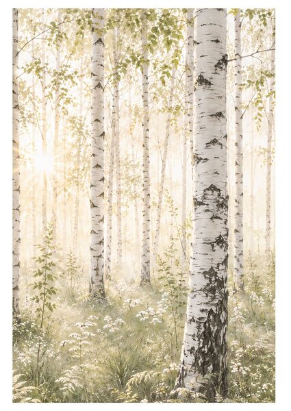 Quadro su tela – Delicato bosco di betulle bianche