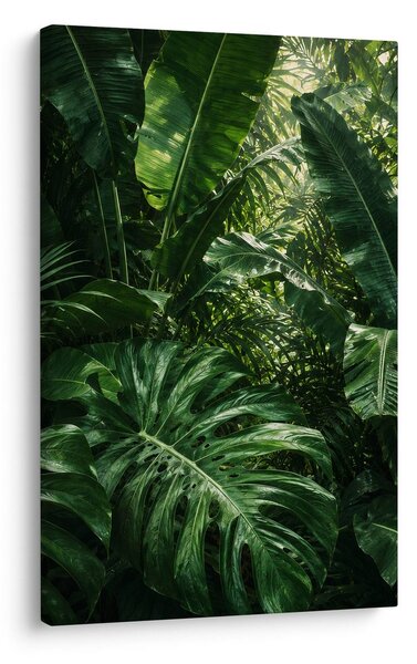 Quadro su tela – Parete verde di foglie tropicali