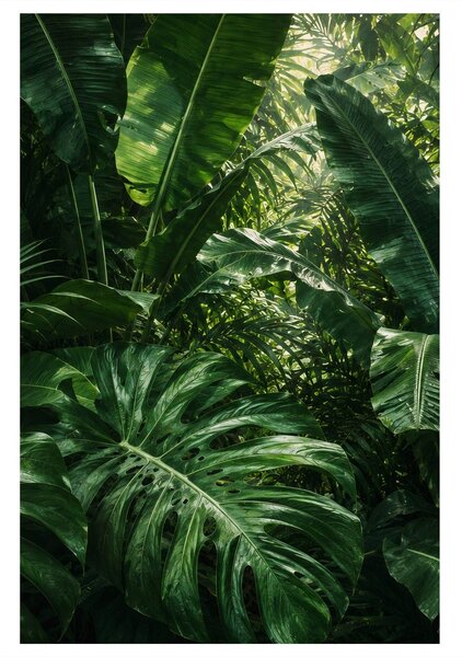 Quadro su tela – Parete verde di foglie tropicali