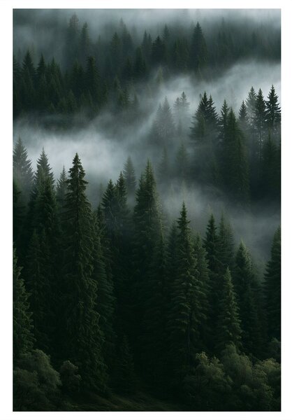 Quadro su tela – Silenziosa foresta montana nella nebbia