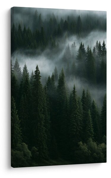 Quadro su tela – Silenziosa foresta montana nella nebbia
