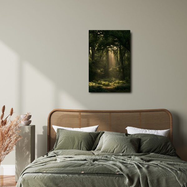 Quadro su tela – Luce misteriosa del mattino nel bosco