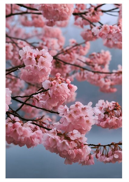 Quadro su tela – Rami delicati con fiori rosa