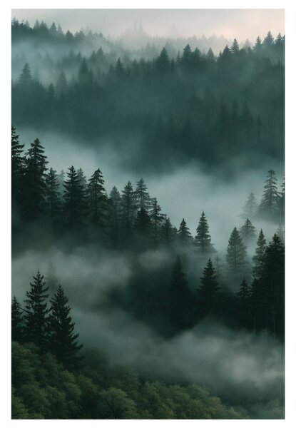 Quadro su tela – Bosco silenzioso nella nebbia mattutina