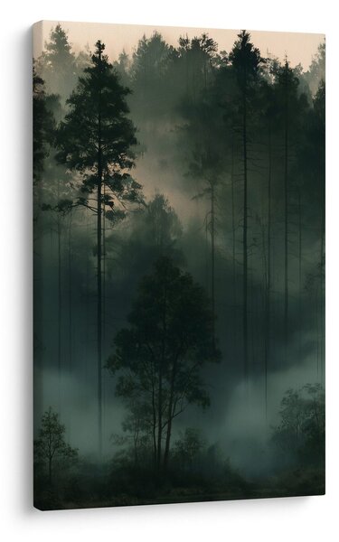 Quadro su tela – Foresta silenziosa nella foschia