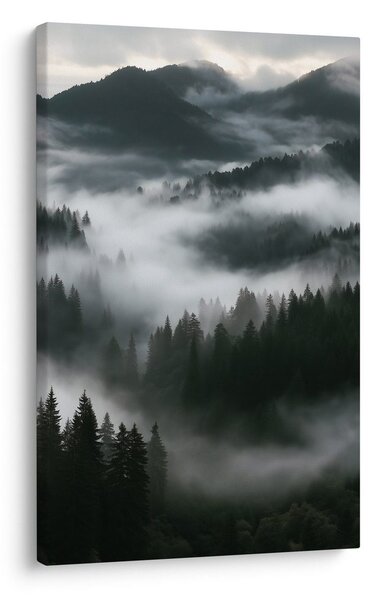 Quadro su tela – Nebbia silenziosa nella foresta montana