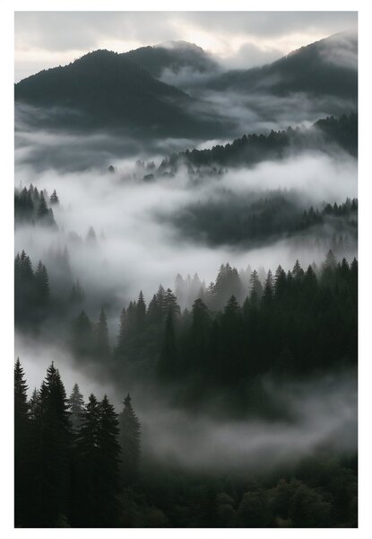 Quadro su tela – Nebbia silenziosa nella foresta montana