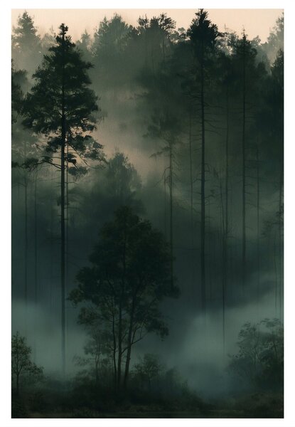 Quadro su tela – Foresta silenziosa nella foschia