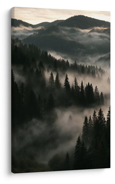 Quadro su tela – Silenziosa foresta di conifere nella nebbia