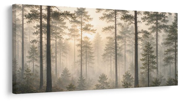 Quadro su tela – Foresta con raggi di sole