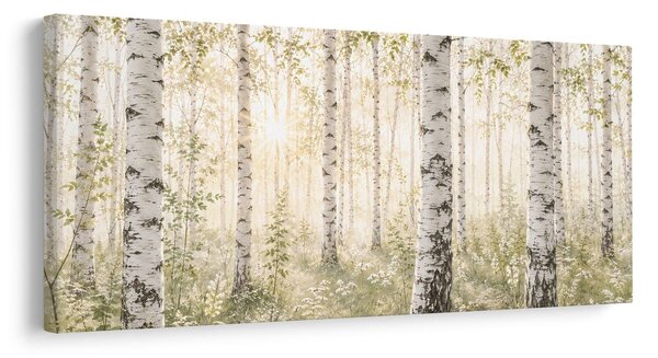 Quadro su tela – Luce del mattino tra le betulle
