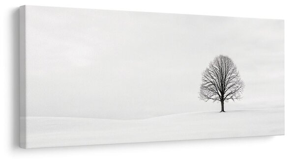 Quadro su tela – Albero della vita solitario nella neve