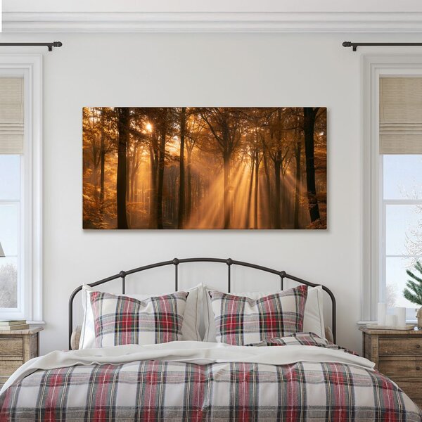 Quadro su tela – Bosco autunnale nella luce