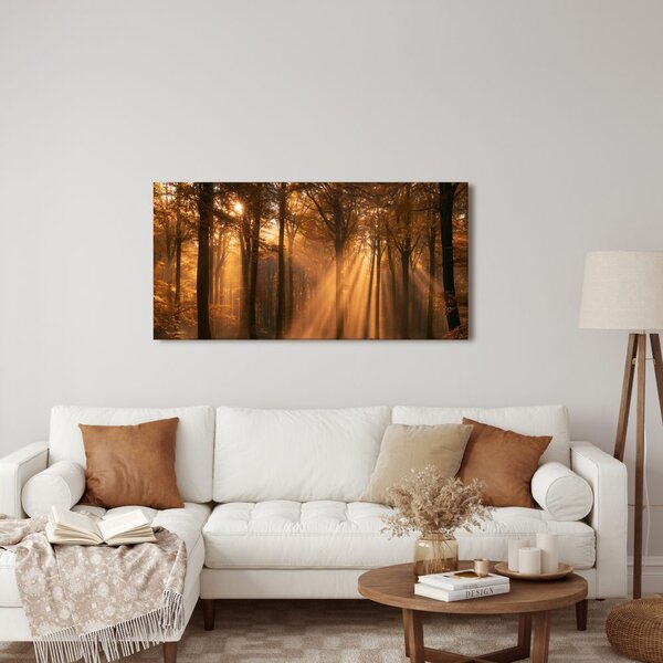 Quadro su tela – Bosco autunnale nella luce