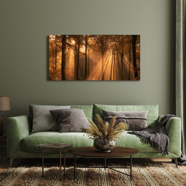 Quadro su tela – Bosco autunnale nella luce