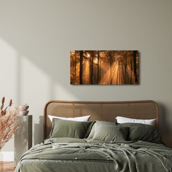 Quadro su tela – Bosco autunnale nella luce