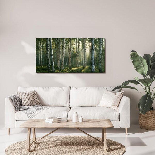 Quadro su tela – Raggi di sole tra le betulle