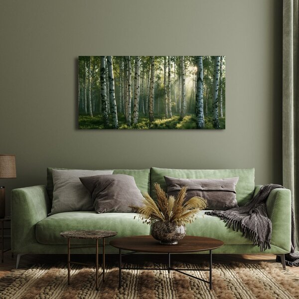 Quadro su tela – Raggi di sole tra le betulle