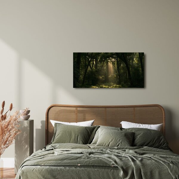 Quadro su tela – Angolo del bosco al crepuscolo