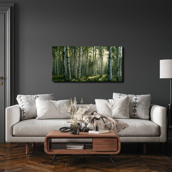 Quadro su tela – Raggi di sole tra le betulle