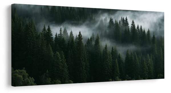 Quadro su tela – Foresta oscura avvolta dalla nebbia