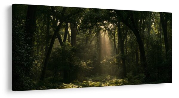 Quadro su tela – Angolo del bosco al crepuscolo