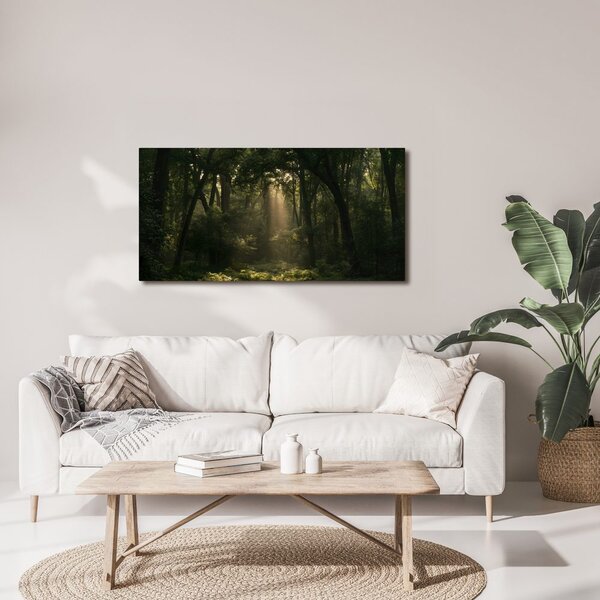 Quadro su tela – Angolo del bosco al crepuscolo