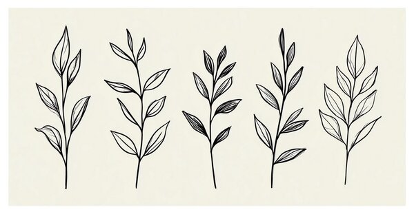 Quadro su tela – Delicate linee botaniche di foglie