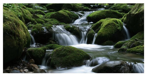 Quadro su tela – Torrente silenzioso tra le rocce