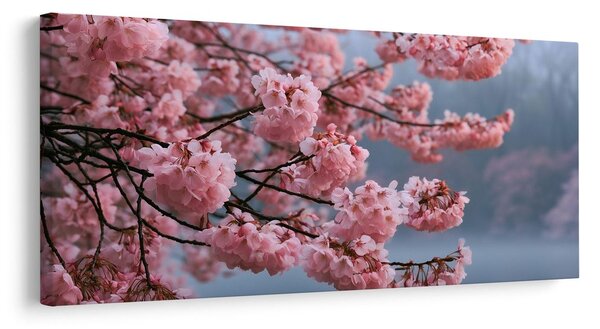 Quadro su tela – Sakura in fiore sull’acqua calma