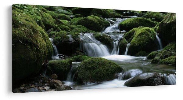 Quadro su tela – Torrente silenzioso tra le rocce