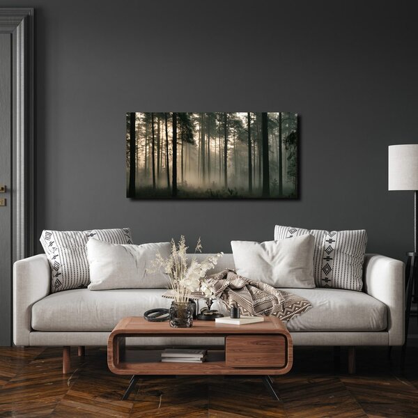 Quadro su tela – Luce mattutina silenziosa nel bosco