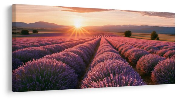 Quadro su tela – Lavanda viola nel paesaggio