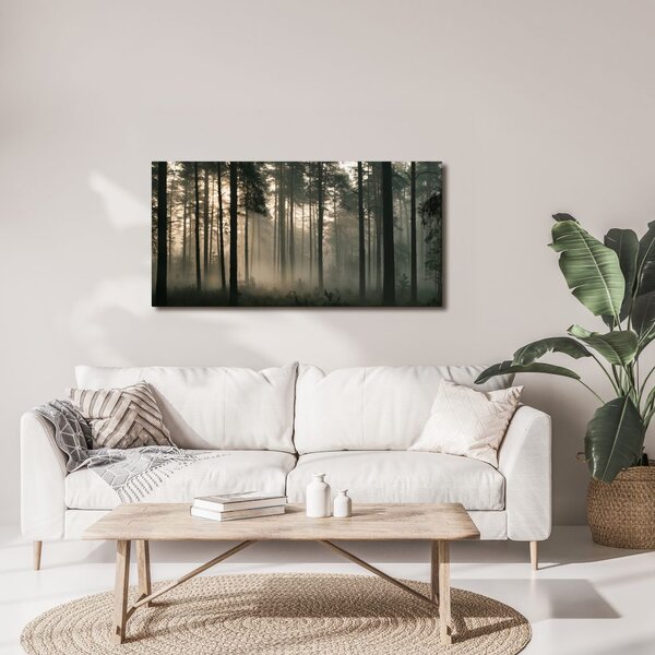 Quadro su tela – Luce mattutina silenziosa nel bosco