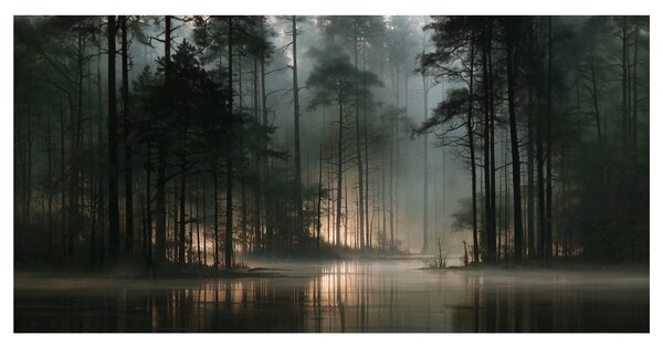 Quadro su tela – Nebbia mattutina nel bosco