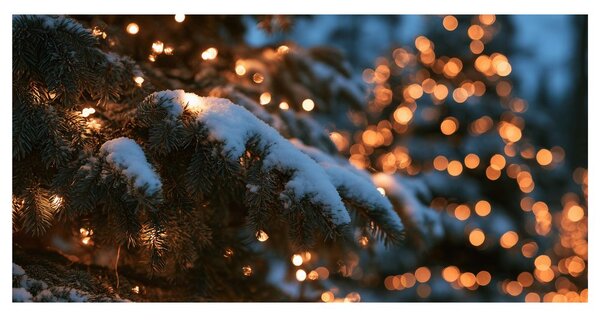 Quadro su tela – Luci natalizie sulla neve