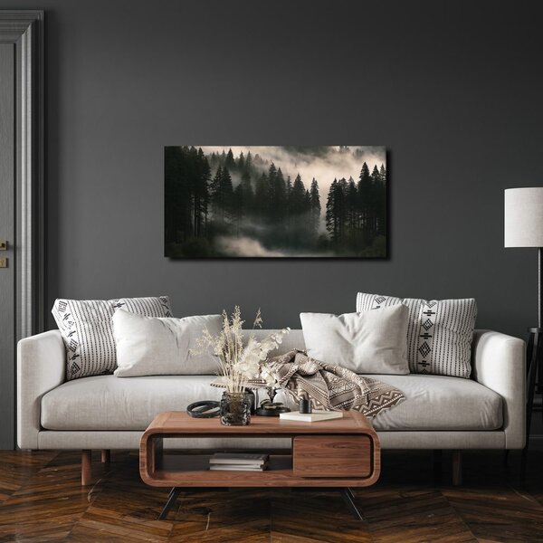 Quadro su tela – Bruma mattutina sulla foresta
