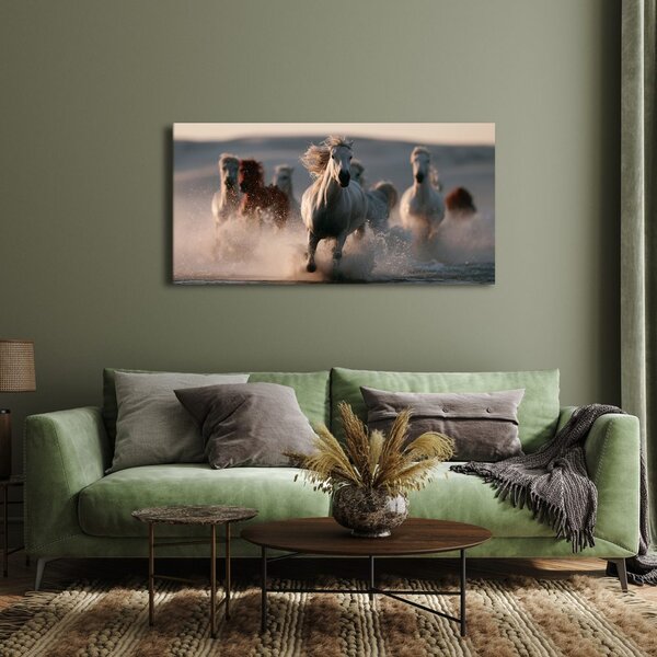 Quadro su tela – Branco di cavalli al galoppo