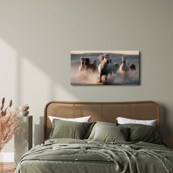 Quadro su tela – Branco di cavalli al galoppo