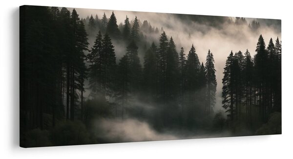Quadro su tela – Bruma mattutina sulla foresta